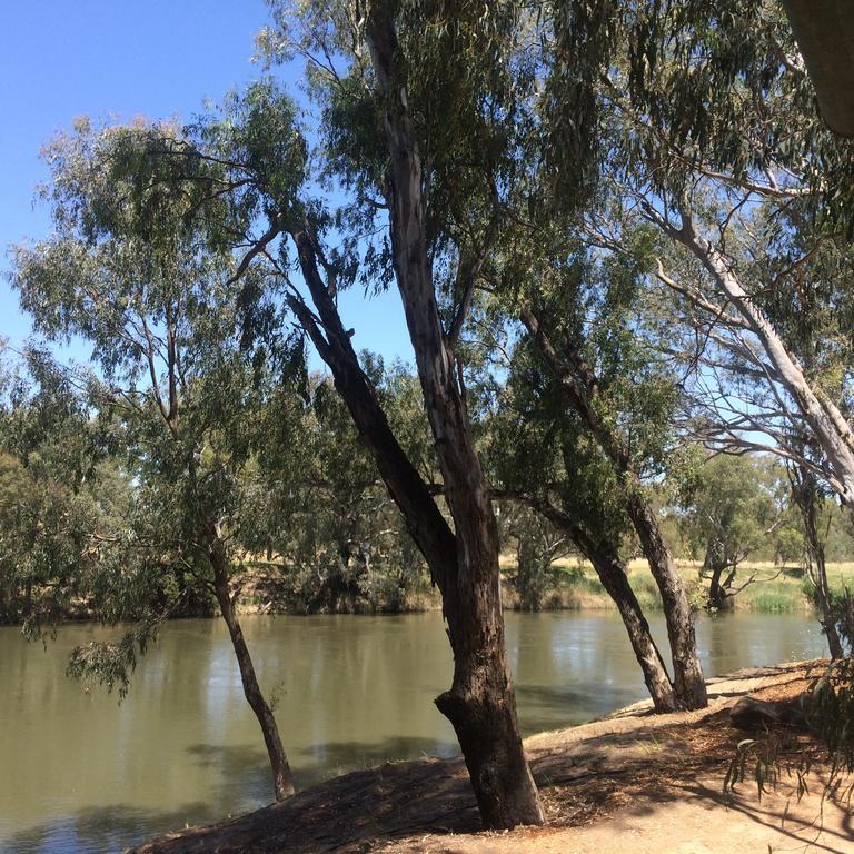 Hotel Wagga Wagga Beach Caravan Park Pokoj fotografie